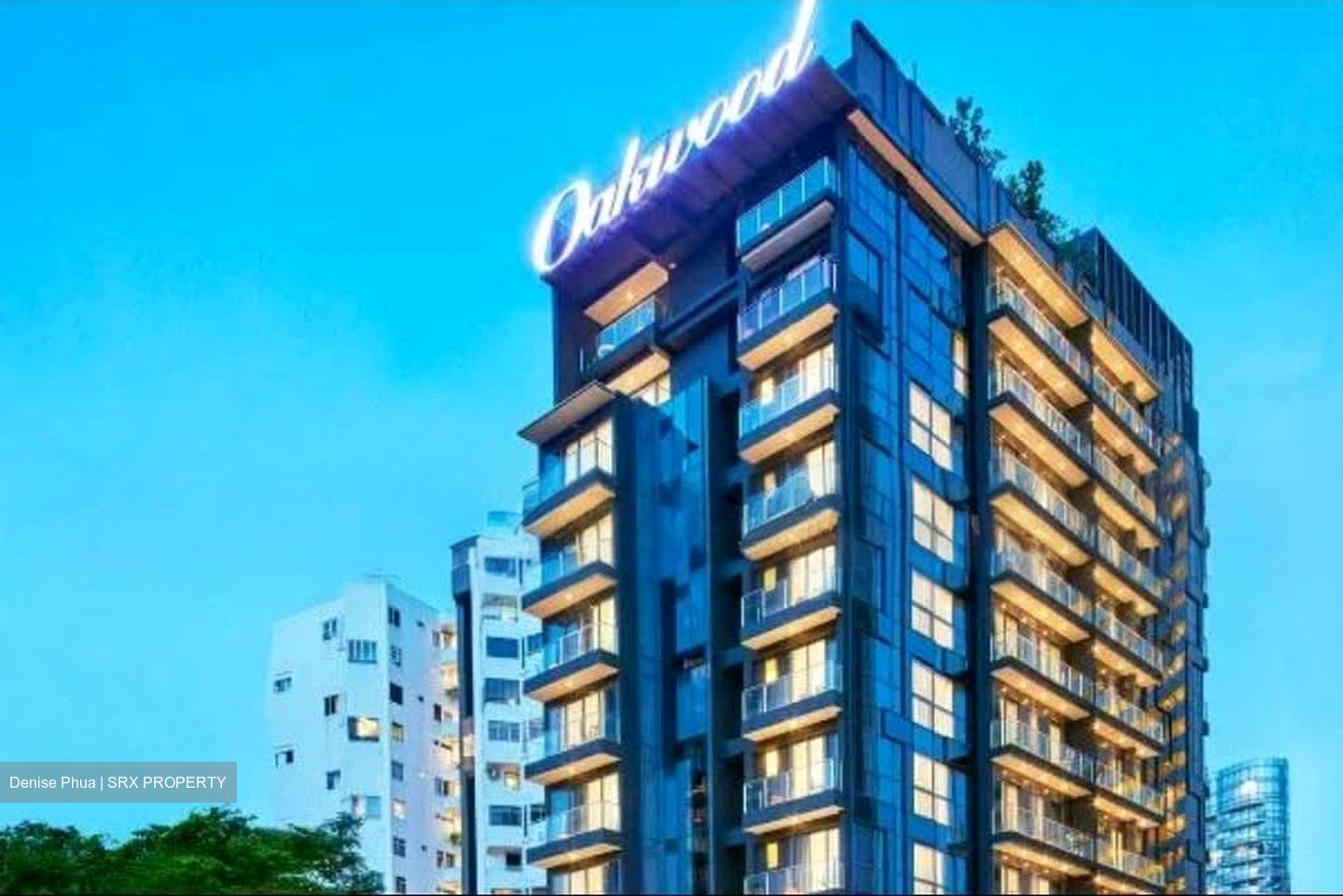 Chateau Eliza (D9), Apartment #578593221